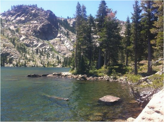 big bear lake in the lakes basin picture of gold lake sierra city
