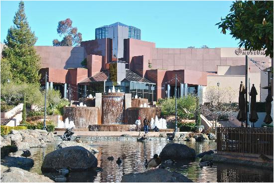 the top 10 things to do near century blackhawk plaza danville
