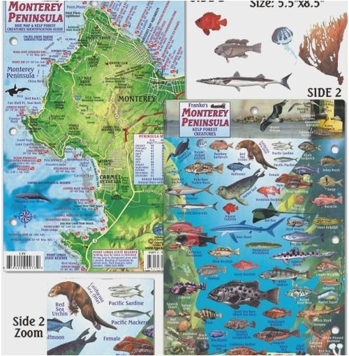 74 marvelous models of california delta fishing maps maps