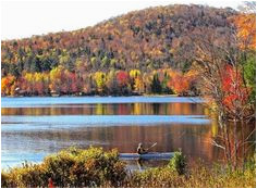 43 best fall foliage in upstate new york images upstate new york