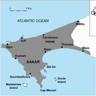 pdf shark attacks in dakar and the cap vert peninsula senegal low