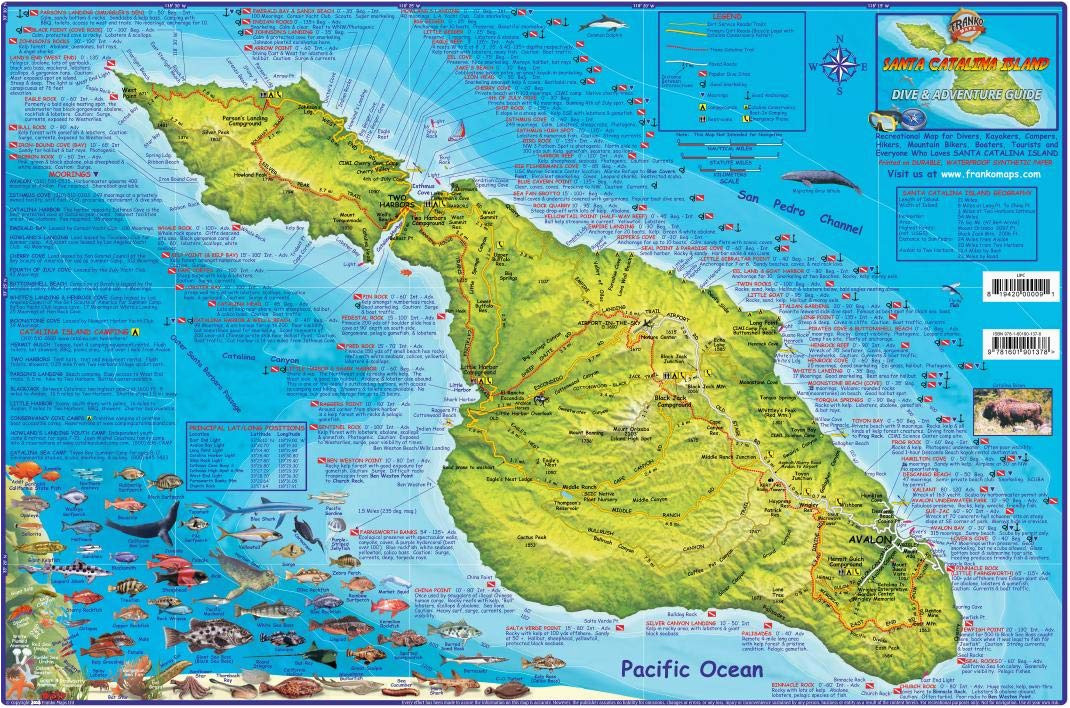 santa catalina island california adventure dive guide franko maps