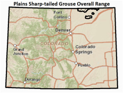 colorado parks wildlife species profiles