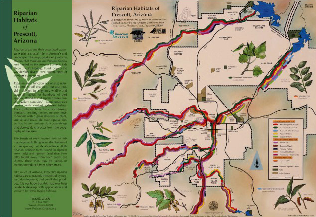 riparian habitats of prescott arizona map prescott creeks