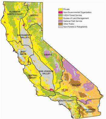 california forests forest research and outreach