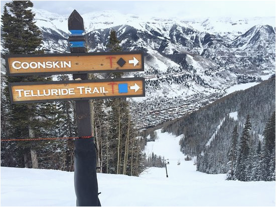 looking down at telluride from top of coonskin picture of
