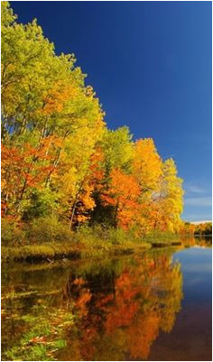 49 best wisconsin s fall color images wisconsin wisconsin fall