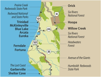 travel info for the redwood forests of california eureka and