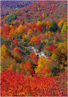 123 best fall beautiful season in north carolina images nature