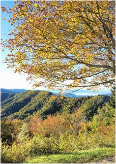 200 best fall color in nc mountains images nc mountains blue