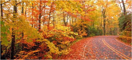 where when to see peak fall foliage for nc