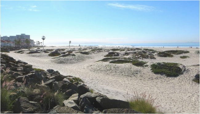 best beaches in san diego california beaches