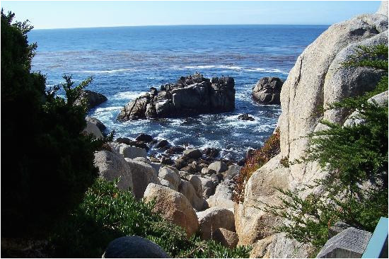 view from the 17 mile drive picture of pacific grove monterey