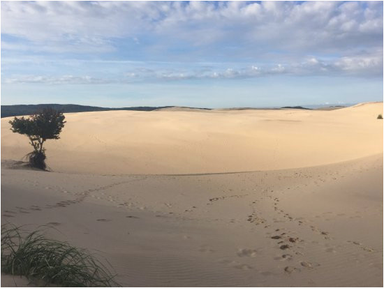 silver lake sand dunes picture of silver lake sand dunes hart