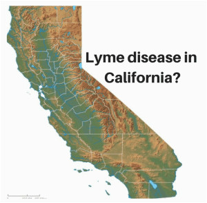 touched by lyme california lyme cases don t get no respect