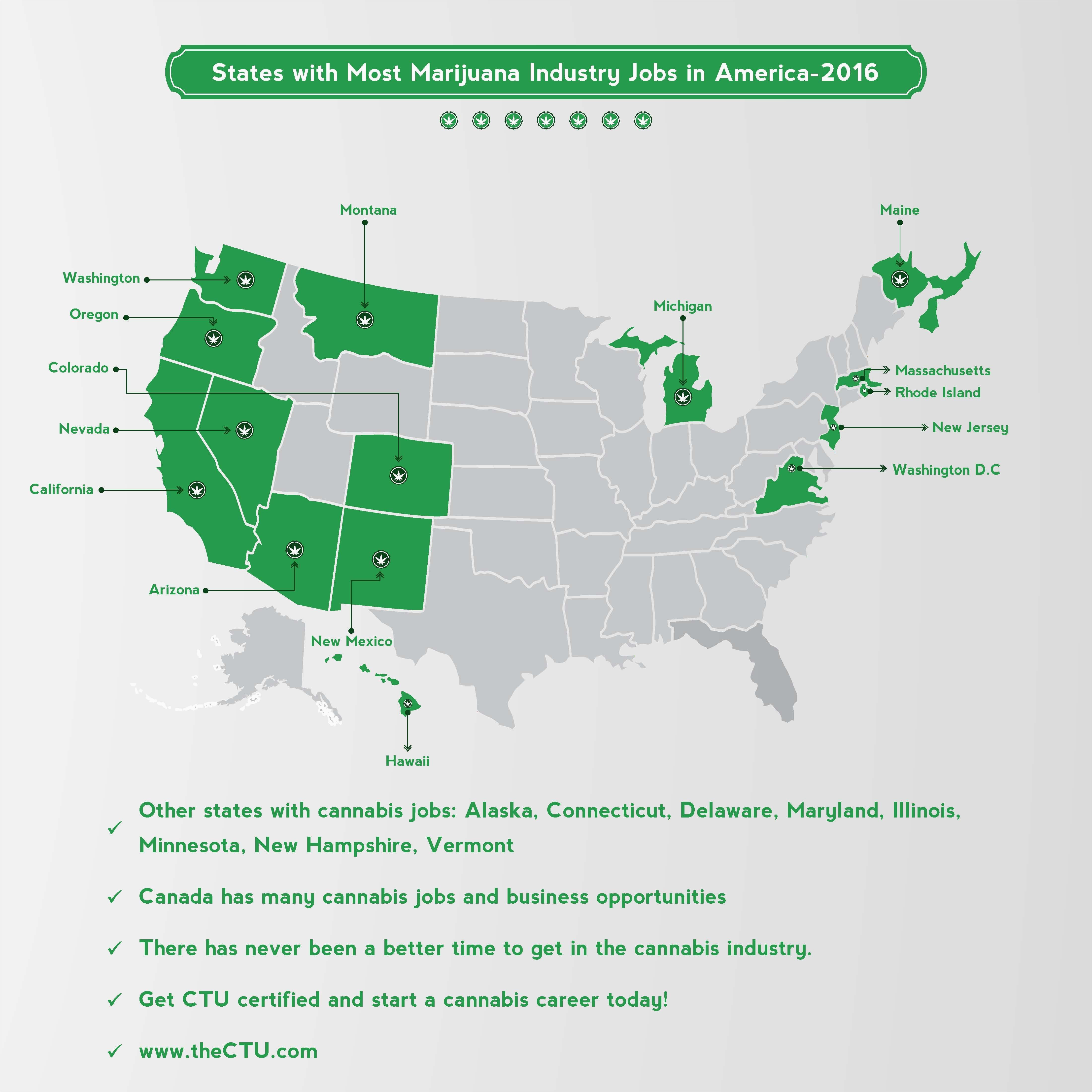 states with most cannabis jobs best cannabis links blogs about