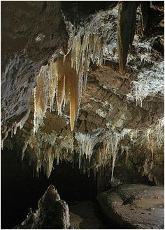 63 best california cavern a images caves ranch california dreamin