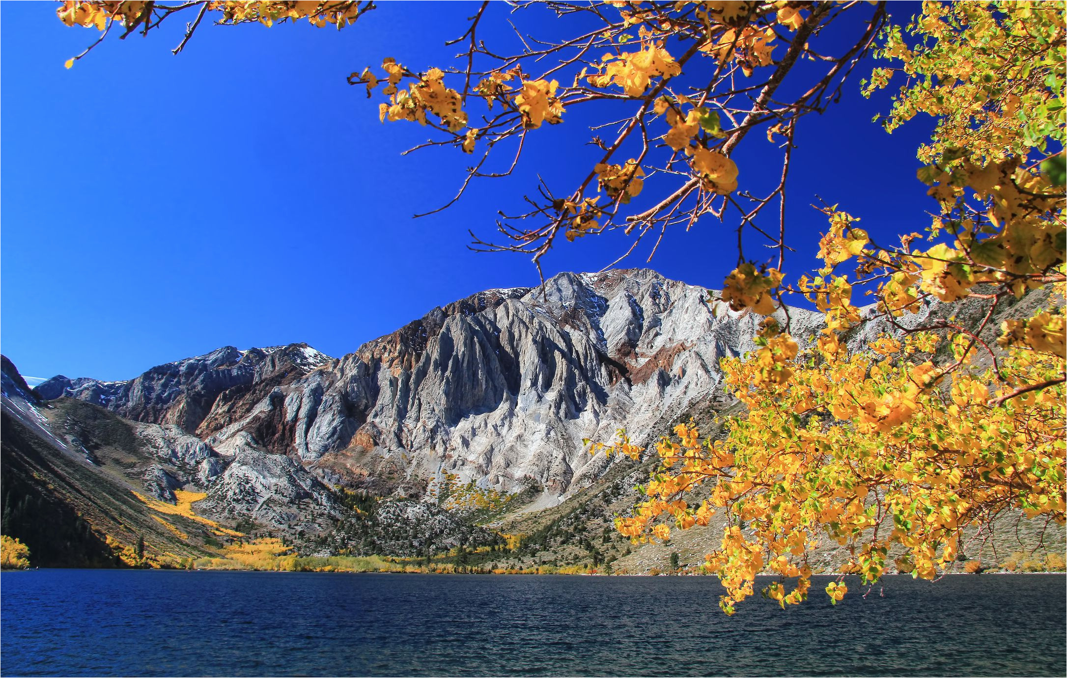 fall foliage drives in northern california