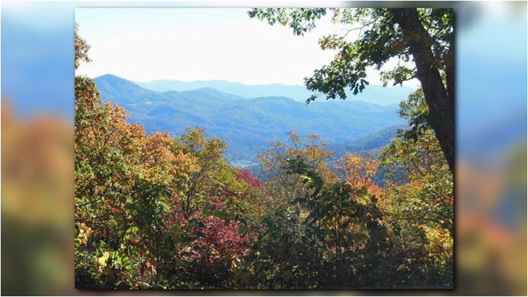 when east tennessee s fall foliage will be at its finest