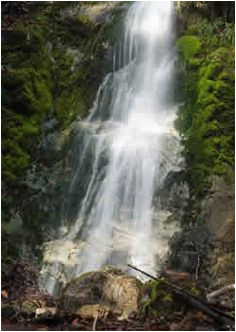 91 best california waterfalls and rivers images california