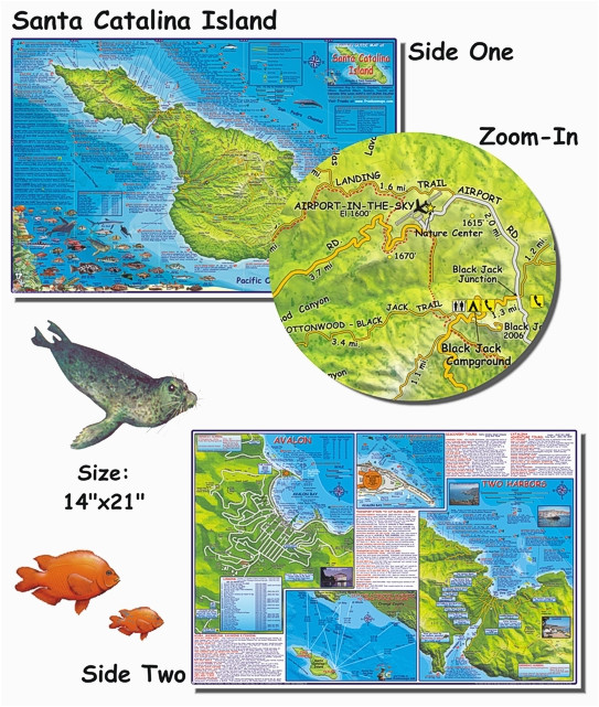 santa catalina island franko s fabulous maps of favorite places