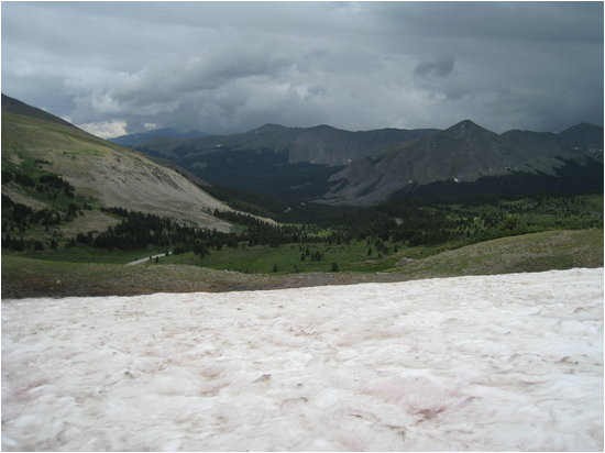 snow field picture of cottonwood pass colorado tripadvisor