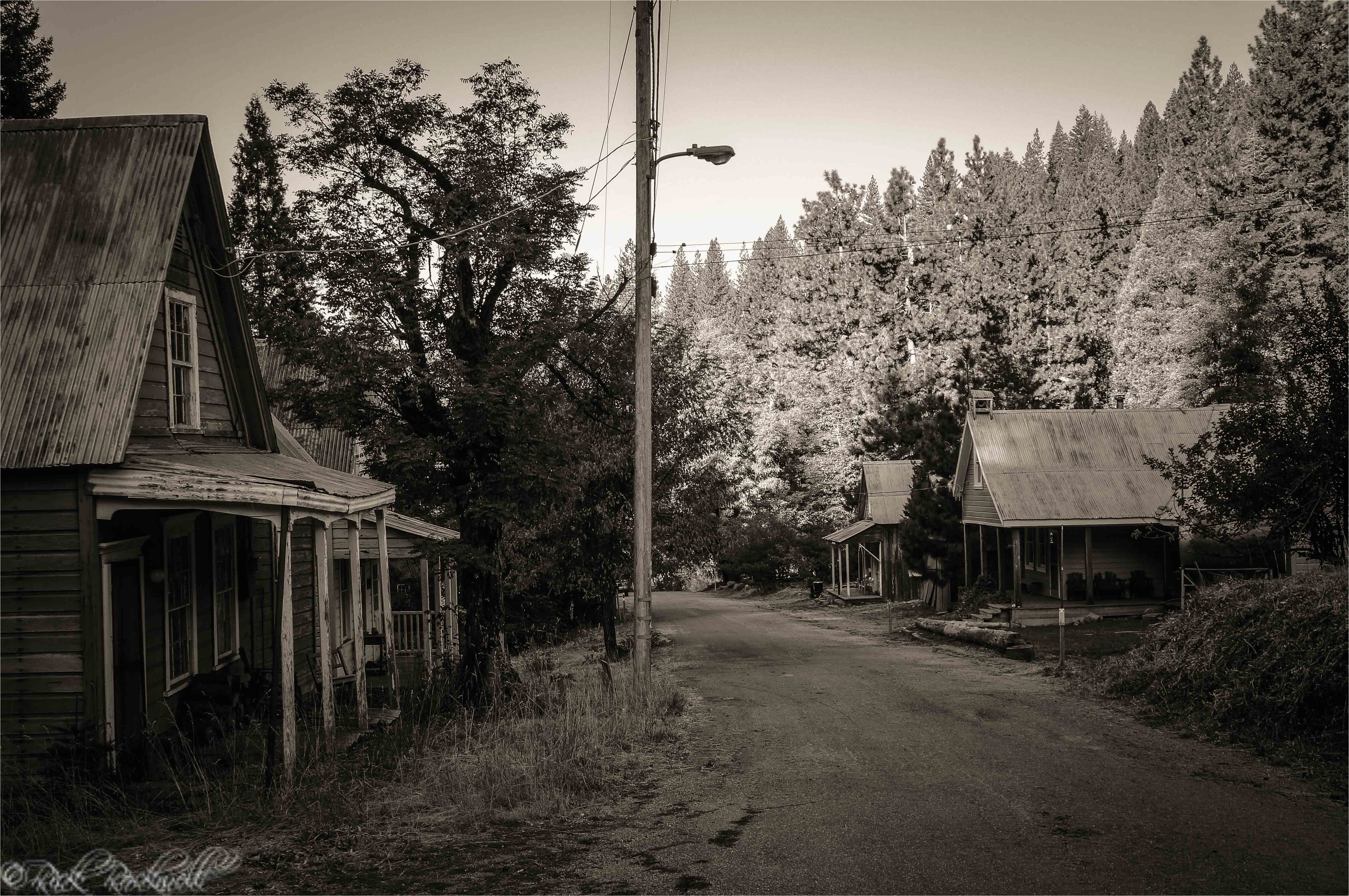 forest city sierra county s authentic gold rush ghost town
