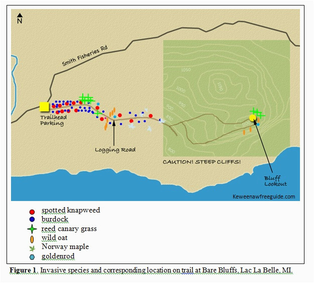 michigan trail maps