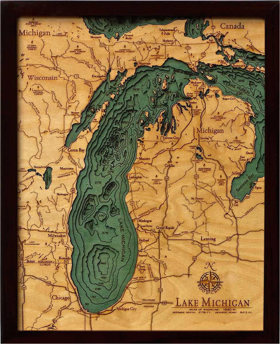 this detailed topographic map captures the stunning beauty of lake