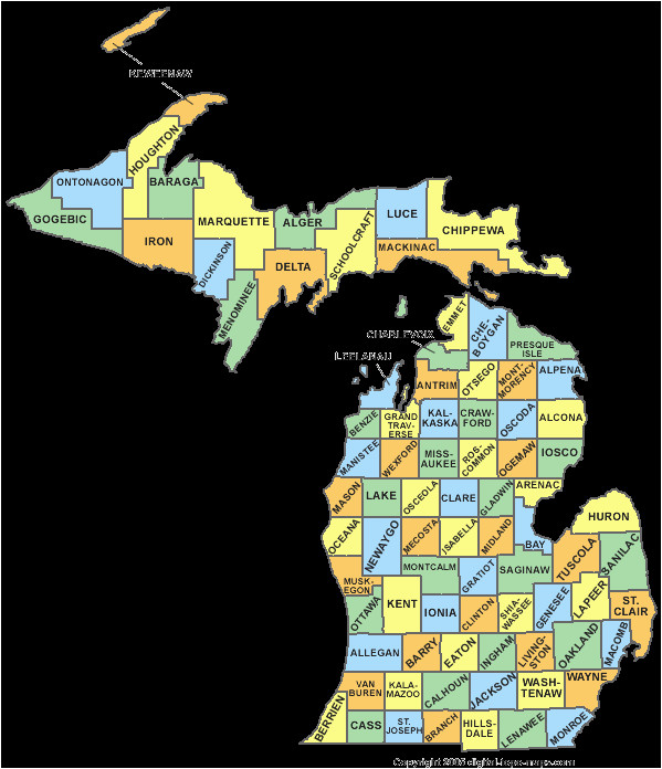 michigan county codes