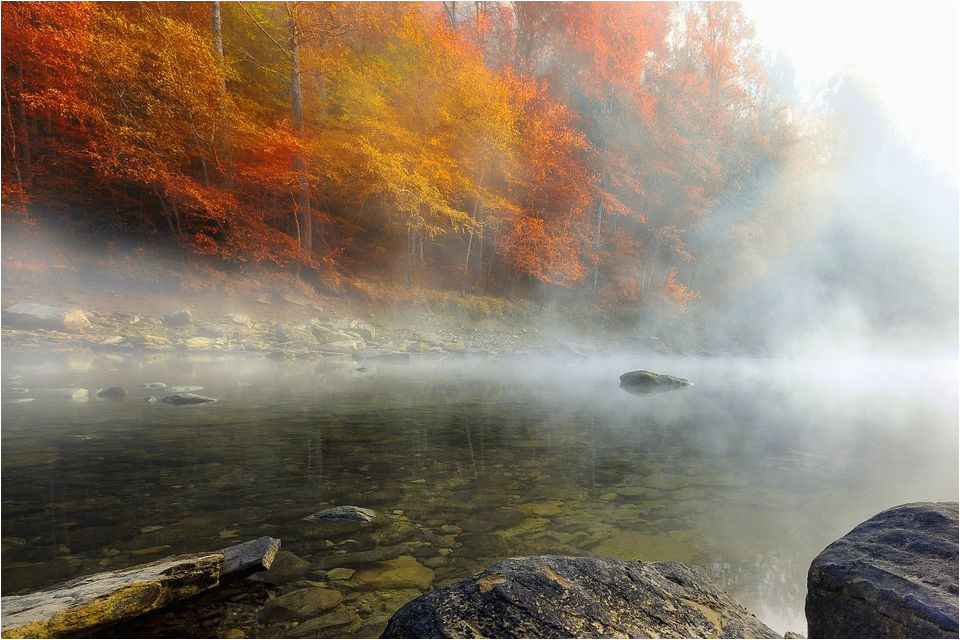 fall foliage peak periods in the southeast