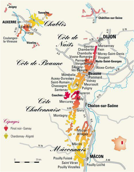 bourgogne wine map some things about wine wine burgundy wine