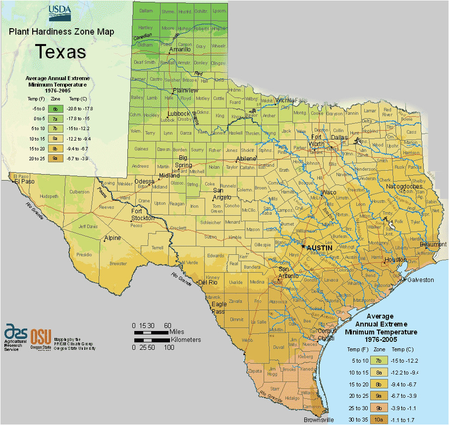 usda hardiness zone map elegant usda texas planting zones map for