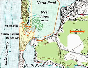 sandy island beach state park wikipedia