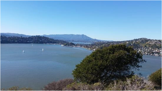 view from the island to the city picture of angel island tiburon