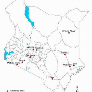 pdf spatio temporal variation in prevalence of rift valley fever a