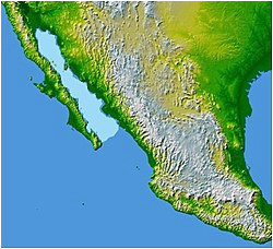 gulf of california wikipedia