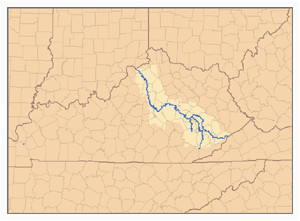 kentucky river wikipedia