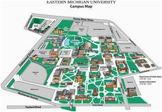 10 best eastern michigan university eagles images eastern michigan