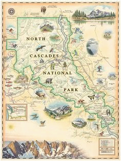 11 best vintage california tourist maps images california vintage