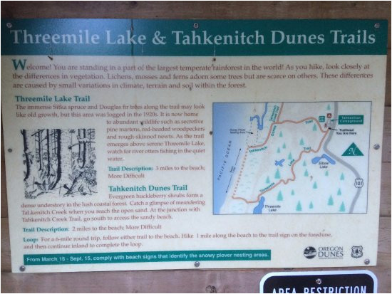 die infotafel am parkplatz picture of tahkenitch creek loop trail