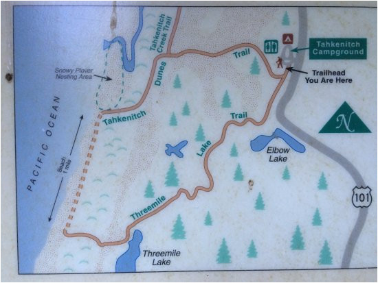die routenbeschreibung picture of tahkenitch creek loop trail