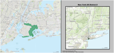 new york s 9th congressional district revolvy