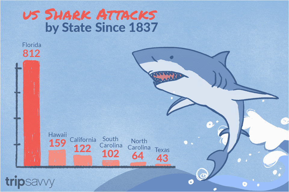 shark attacks in the united states by state