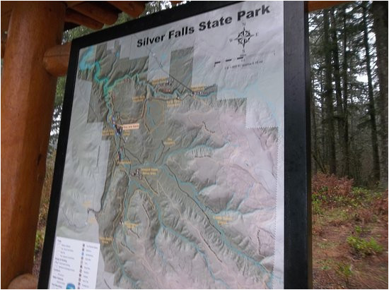 at the entrance picture of silver falls state park silverton