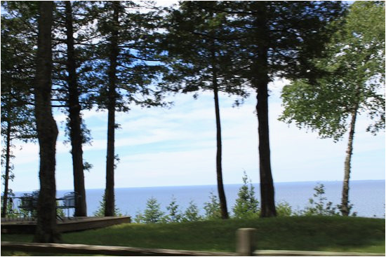 tunnel of trees picture of tunnel of trees m119 harbor springs