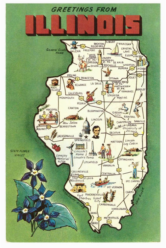 greetings from illinois prairie state map usa rare postcard posted