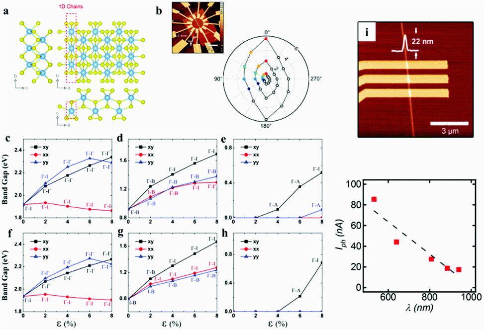 2d library beyond graphene and transition metal dichalcogenides a