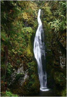 20 awesome lane county waterfalls images waterfall waterfalls
