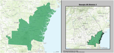 united states congressional delegations from georgia wikipedia